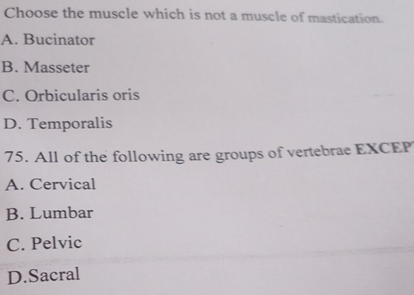 Choose the muscle which is not a muscle of mastication.
A. Bucinator
B. Masseter
C. Orbicularis oris
D. Temporalis
75. All of the following are groups of vertebrae EXCEP
A. Cervical
B. Lumbar
C. Pelvic
D.Sacral