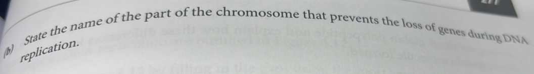 State the name of the part of the chromosome that prevents the loss of genes during DNA 
replication.