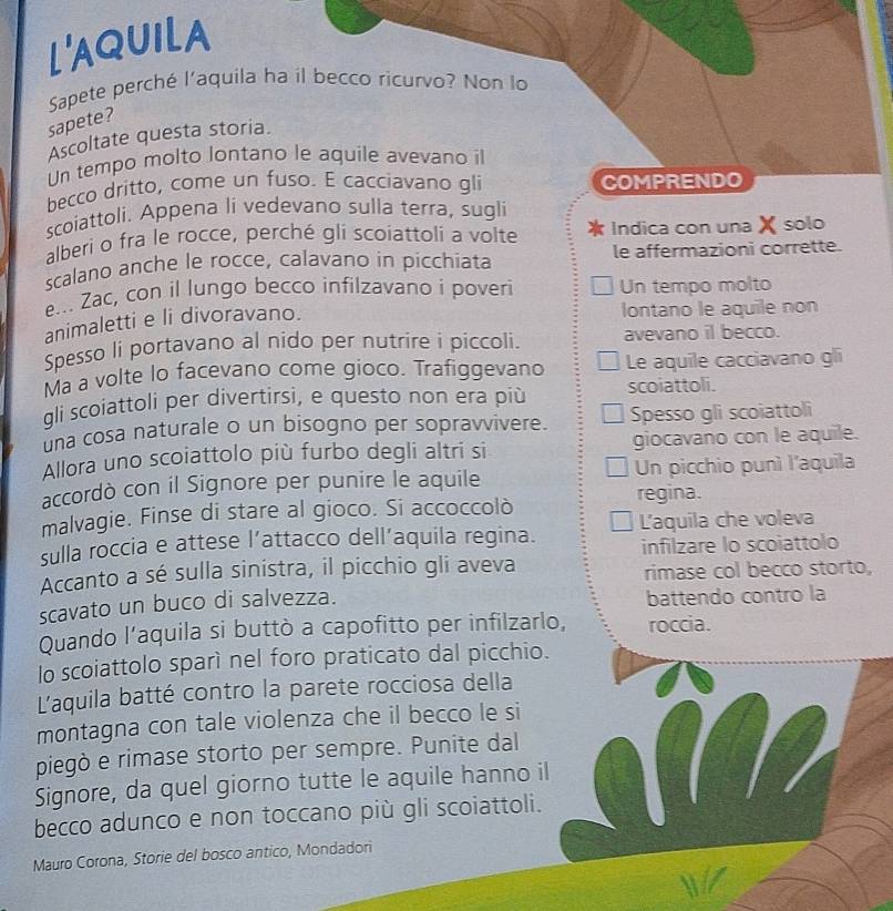 L'AQUILA
Sapete perché l'aquila ha il becco ricurvo? Non lo
sapete?
Ascoltate questa storia.
Un tempo molto lontano le aquile avevano il
becco dritto, come un fuso. E cacciavano gli COMPRENDO
scoiattoli. Appena li vedevano sulla terra, sugli
alberi o fra le rocce, perché gli scoiattoli a volte Indica con una X solo
scalano anche le rocce, calavano in picchiata le affermazioni corrette.
e... Zac, con il lungo becco infilzavano i poveri Un tempo molto
animaletti e li divoravano.
lontano le aquile non
Spesso li portavano al nido per nutrire i piccoli. avevano il becco.
Ma a volte lo facevano come gioco. Trafiggevano Le aquile cacciavano gli
gli scoiattoli per divertirsi, e questo non era più scoiattoli.
una cosa naturale o un bisogno per sopravvivere. Spesso gli scoiattoli
Allora uno scoiattolo più furbo degli altri si giocavano con le aquile.
accordò con il Signore per punire le aquile Un picchio punì l'aquila
malvagie. Finse di stare al gioco. Si accoccolò regina.
sulla roccia e attese l’attacco dell’aquila regina. L'aquila che voleva
infilzare lo scoiattolo
Accanto a sé sulla sinistra, il picchio gli aveva rimase col becco storto,
scavato un buco di salvezza. battendo contro la
Quando l’aquila si buttò a capofitto per infilzarlo, roccia.
lo scoiattolo sparí nel foro praticato dal picchio.
L'aquila batté contro la parete rocciosa della
montagna con tale violenza che il becco le si
piegò e rimase storto per sempre. Punite dal
Signore, da quel giorno tutte le aquile hanno il
becco adunco e non toccano più gli scoiattoli.
Mauro Corona, Storie del bosco antico, Mondadori