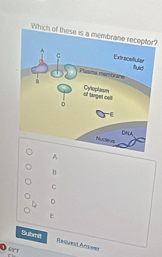 ?
A
B
C
D
E
Submit Request Answer
D 69°F