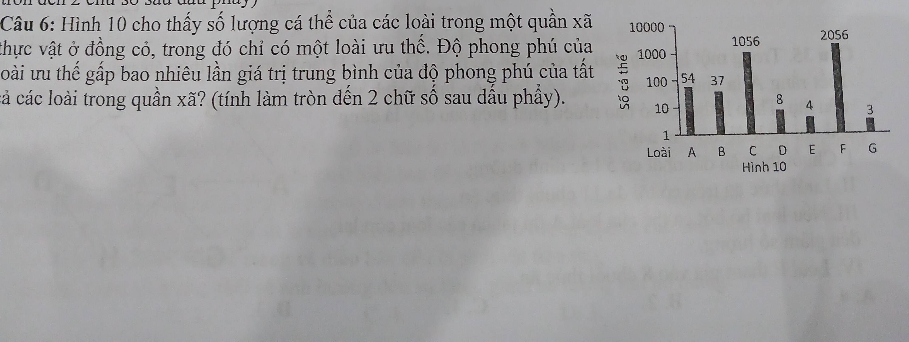 Hình 10 cho thấy số lượng cá thể của các loài trong một quần xã 
thực vật ở đồng cỏ, trong đó chỉ có một loài ưu thể. Độ phong phú của 
oài ưu thế gấp bao nhiêu lần giá trị trung bình của độ phong phú của tất 
cả các loài trong quần xã? (tính làm tròn đến 2 chữ số sau dầu phầy).