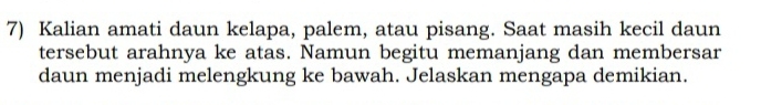 Kalian amati daun kelapa, palem, atau pisang. Saat masih kecil daun 
tersebut arahnya ke atas. Namun begitu memanjang dan membersar 
daun menjadi melengkung ke bawah. Jelaskan mengapa demikian.