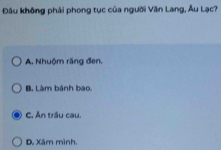 Đâu không phải phong tục của người Văn Lang, Âu Lạc?
A. Nhuộm răng đen.
B. Làm bánh bao.
C. Ăn trầu cau.
D. Xăm mình,