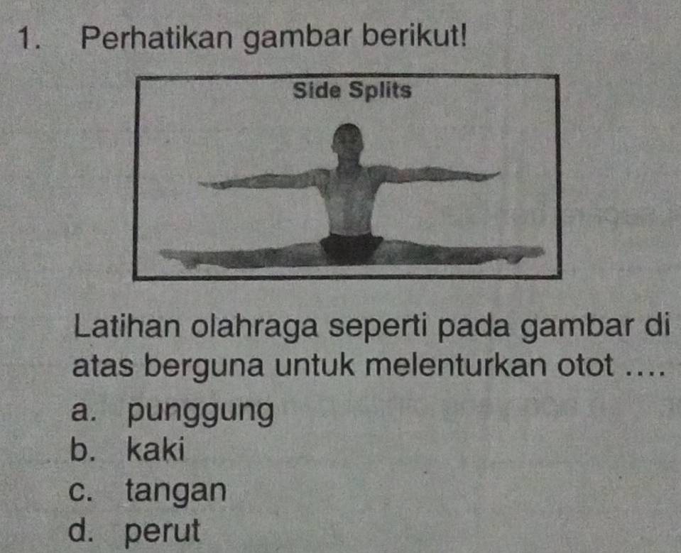 Perhatikan gambar berikut!
Latihan olahraga seperti pada gambar di
atas berguna untuk melenturkan otot ....
a. punggung
b. kaki
c. tangan
d. perut