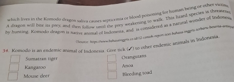 which lives in the Komodo dragon saliva causes septicemia or blood poisoning for human being or other victim
A dragon will bite its prey, and then follow until the prey weakening to walk. This lizard species is threatene
by hunting. Komodo dragon is narive animal of Indonesia, and is considered as a natural wonder of Indonesi
Source:htps://wwbahasainggrts.co.sd/12-contoh-réport-text-baħasa-mggris-terbaru-beserta-artnyg
34. Komodo is an endemic animal of Indonesia. Give tick (▲) to other endemic animals in Indonesia
Sumatran tiger
Orangutans
Kangaroo Anoa
Mouse deer
Bleeding toad