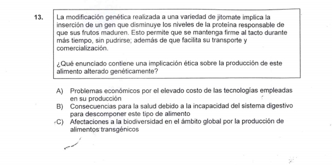 La modificación genética realizada a una varjedad de jitomate implica la
inserción de un gen que disminuye los niveles de la proteína responsable de
que sus frutos maduren. Esto permite que se mantenga firme al tacto durante
más tiempo, sin pudrirse; además de que facilita su transporte y
comercialización.
¿Qué enunciado contiene una implicación ética sobre la producción de este
alimento alterado genéticamente?
A) Problemas económicos por el elevado costo de las tecnologías empleadas
en su producción
B) Consecuencias para la salud debido a la incapacidad del sistema digestivo
para descomponer este tipo de alimento
C) Afectaciones a la biodiversidad en el ámbito global por la producción de
alimentos transgénicos