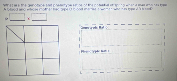 What are the genotype and phenotype ratios of the potential offspring when a man who has type 
A blood and whose mother had type O blood marries a woman who has type AB blood?
□ * □
7
Genotypic Ratio: 
Phenotypic Ratio:
1