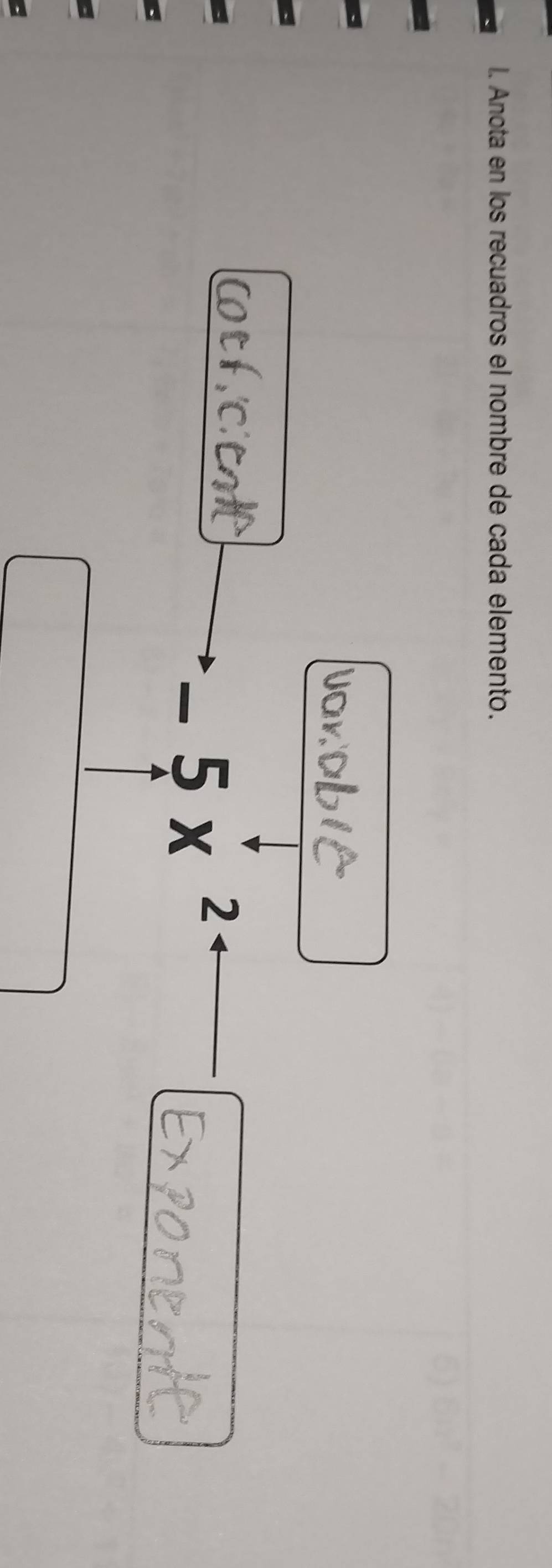 Anota en los recuadros el nombre de cada elemento.
-5x^2°