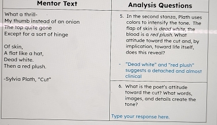 Mentor Text Analysis Questions 
W 
M 
T 
E 
O 
A 
D 
T 
-