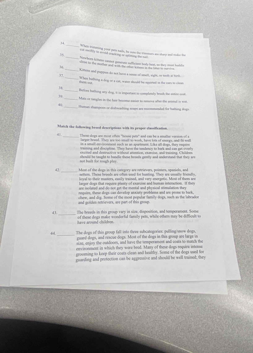  _When trimming your pets nails, be sure the trimmers are sharp and make the
cut swiftly to avoid cracking or splitting the nail.
35._ Newborn kittens cannot generate sufficient body heat, so they must huddle
close to the mother and with the other kittens in the litter to survive.
36._ Kittens and puppies do not have a sense of smell, sight, or teeth at birth
37._ When bathing a dog or a cat, water should be squirted in the ears to clean
them out.
38._ Before bathing any dog, it is important to completely brush the entire coat.
39._ Mats or tangles in the hair become easier to remove after the animal is wet
40._ Human shampoos or dishwashing soaps are recommended for bathing dogs.
Match the following breed descriptions with its proper classification.
41._ These dogs are most often "house pets" and can be a smaller version of a
larger breed. They are too small to work, have lots of energy, and fit well
in a small environment such as an apartment. Like all dogs, they require
training and discipline. They have the tendency to bark and can get overly
excited and destructive without attention, exercise, and training. Children
should be taught to handle these breeds gently and understand that they are
not built for rough play.
42._ Most of the dogs in this category are retrievers, pointers, spaniels, and
setters. These breeds are often used for hunting. They are usually friendly,
loyal to their masters, easily trained, and very energetic. Most of them are
larger dogs that require plenty of exercise and human interaction. If they
are isolated and do not get the mental and physical stimulation they
require, these dogs can develop anxiety problems and are prone to bark,
chew, and dig. Some of the most popular family dogs, such as the labrador
and golden retrievers, are part of this group.
43._ The breeds in this group vary in size, disposition, and temperament. Some
of these dogs make wonderful family pets, while others may be difficult to
have around children.
44._ The dogs of this group fall into three subcategories: pulling/snow dogs,
guard dogs, and rescue dogs. Most of the dogs in this group are large in
size, enjoy the outdoors, and have the temperament and coats to match the
environment in which they were bred. Many of these dogs require intense
grooming to keep their coats clean and healthy. Some of the dogs used for
guarding and protection can be aggressive and should be well trained; they