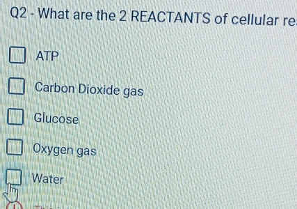 What are the 2 REACTANTS of cellular re
ATP
Carbon Dioxide gas
Glucose
Oxygen gas
Water