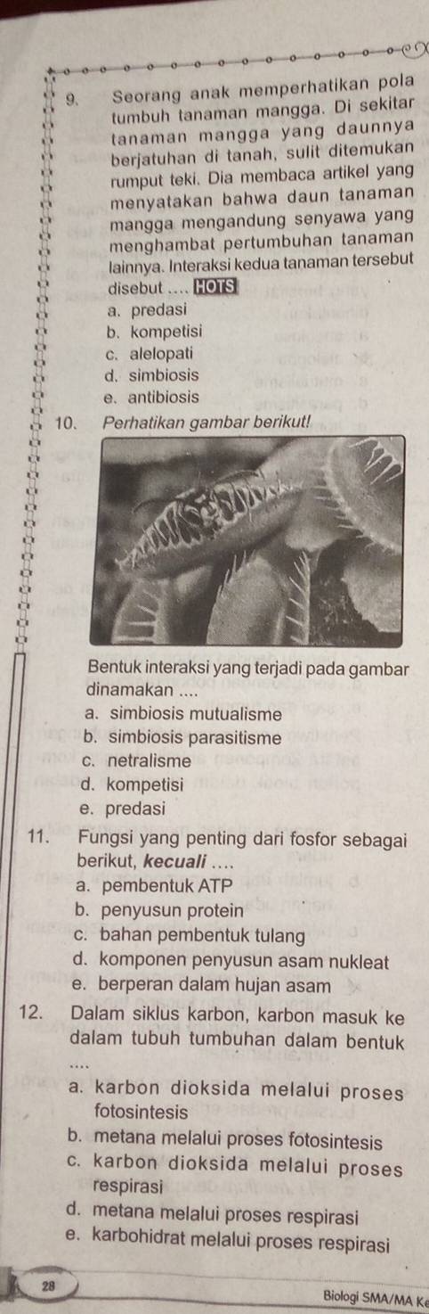 Seorang anak memperhatikan pola
tumbuh tanaman mangga. Di sekitar
tanaman mangga yang daunnya 
berjatuhan di tanah, sulit ditemukan
rumput teki. Dia membaca artikel yang
menyatakan bahwa daun tanaman 
mangga mengandung senyawa yang
menghambat pertumbuhan tanaman
lainnya. Interaksi kedua tanaman tersebut
disebut .... HOTS
a. predasi
b. kompetisi
c.alelopati
d. simbiosis
e. antibiosis
10. Perhatikan gambar berikut!
Bentuk interaksi yang terjadi pada gambar
dinamakan ....
a. simbiosis mutualisme
b. simbiosis parasitisme
c.netralisme
d. kompetisi
e. predasi
11. Fungsi yang penting dari fosfor sebagai
berikut, kecuali ...
a. pembentuk ATP
b. penyusun protein
c. bahan pembentuk tulang
d. komponen penyusun asam nukleat
e. berperan dalam hujan asam
12. Dalam siklus karbon, karbon masuk ke
dalam tubuh tumbuhan dalam bentuk
a. karbon dioksida melalui proses
fotosintesis
b. metana melalui proses fotosintesis
c. karbon dioksida melalui proses
respirasi
d. metana melalui proses respirasi
e. karbohidrat melalui proses respirasi
28 Biologi SMA/MA K