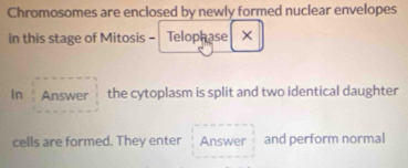 Chromosomes are enclosed by newly formed nuclear envelopes 
in this stage of Mitosis = Telophase × 
In Answer the cytoplasm is split and two identical daughter 
cells are formed. They enter Answer and perform normal