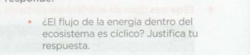 ¿El flujo de la energía dentro del 
ecosistema es cíclico? Justifica tu 
respuesta.