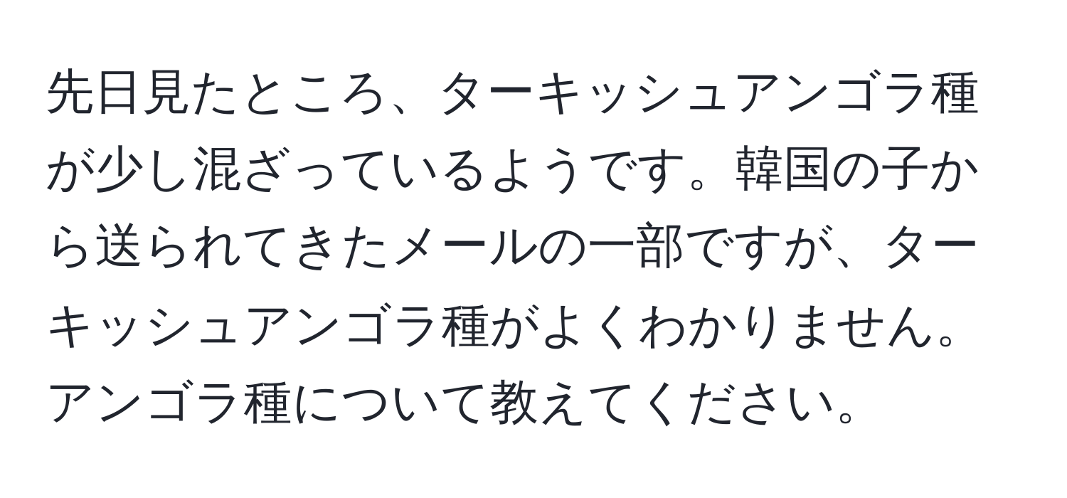 先日見たところ、ターキッシュアンゴラ種が少し混ざっているようです。韓国の子から送られてきたメールの一部ですが、ターキッシュアンゴラ種がよくわかりません。アンゴラ種について教えてください。