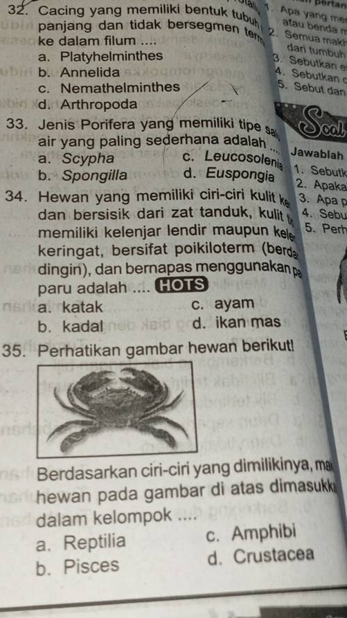 pertan
otal 1. Apa yang me
32. Cacing yang memiliki bentuk tubu atau benda m
panjang dan tidak bersegmen tem 
ke dalam filum ....
2. Semua makh dari tumbuh
a. Platyhelminthes
3. Sebutkan e 4. Sebutkan
b. Annelida
c. Nemathelminthes
5. Sebut dan
d. Arthropoda
33. Jenis Porifera yang memiliki tipe sa Sol
air yang paling sederhana adalah ... Jawablah
a. Scypha c. Leucosolenia
1. Sebutk
b. Spongilla d. Euspongia
2. Apaka
34. Hewan yang memiliki ciri-ciri kulit k 3. Apa p
dan bersisik dari zat tanduk, kulit 4. Sebu
memiliki kelenjar lendir maupun ke 
5. Perh
keringat, bersifat poikiloterm (berd
dingin) , dan bernapas menggunakan 
paru adalah .... HOTS
a. katak c. ayam
b. kadal d. ikan mas
35. Perhatikan gambar hewan berikut!
Berdasarkan ciri-ciri yang dimilikinya, ma
hewan pada gambar di atas dimasukk 
dalam kelompok ....
a. Reptilia c. Amphibi
b. Pisces d. Crustacea