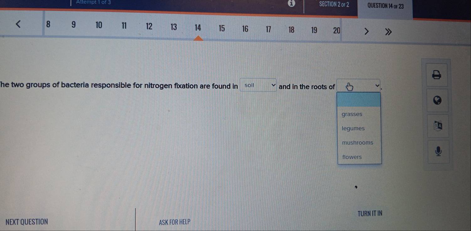 Attempt 1 of 3 SECTION 2 of 2 QUESTION 14 of 23
8 9 10 11 12 13 14 15 16 17 18 19 20
he two groups of bacteria responsible for nitrogen fixation are found in soil and in the roots of
grasses
legumes
mushrooms
flowers
TURN IT IN
NEXT QUESTION ASK FOR HELP