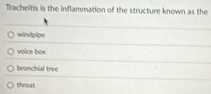 Tracheitis is the inflammation of the structure known as the
windpipe
voice box
bronchial tree
throat