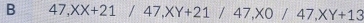 47, XX+21/47, XY+21/47, X0/47, XY+13