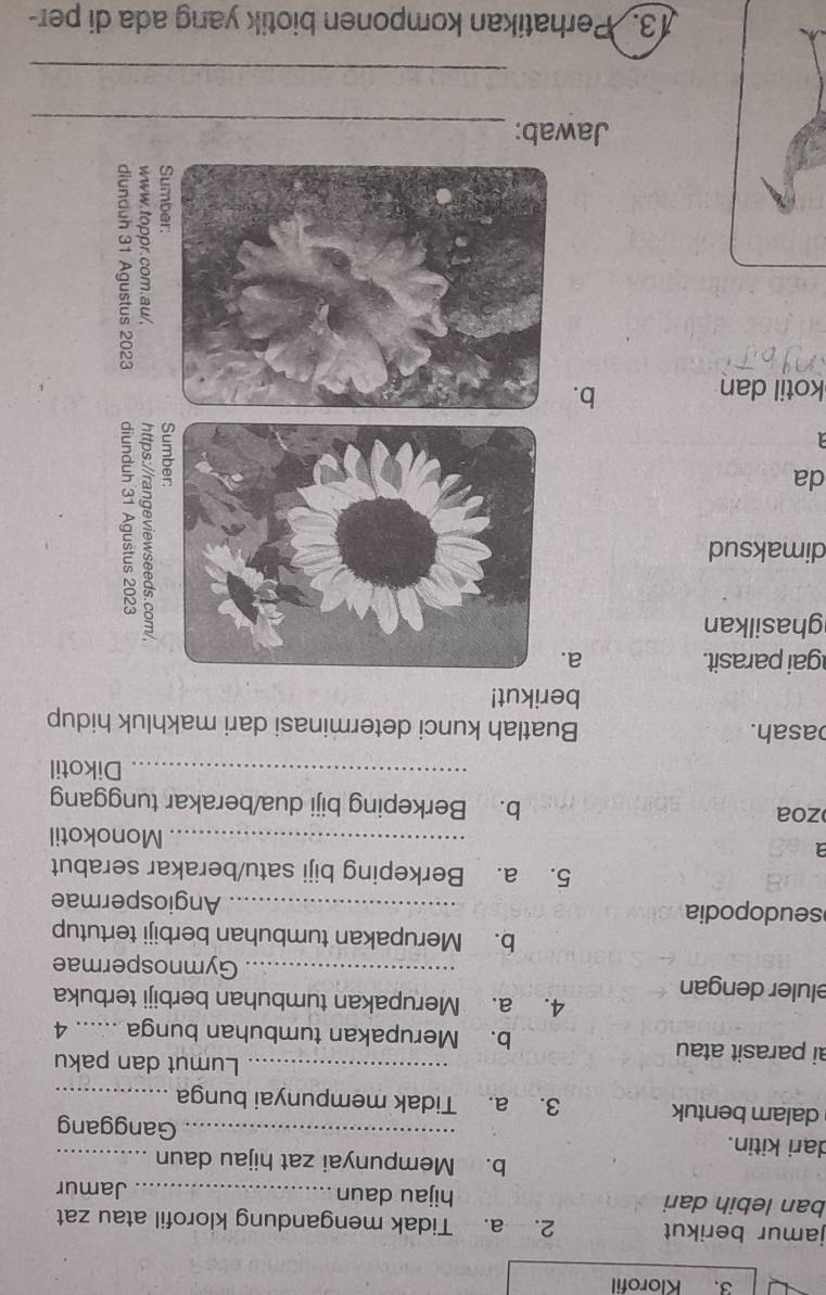 Klorofil 
jamur berikut 2. a. Tidak mengandung klorofil atau zat 
ban lebih dari hijau daun_ 
Jamur 
b. Mempunyai zat hijau daun 
dari kitin. _Ganggang 
dalam bentuk 3. a. Tidak mempunyai bunga_ 
_Lumut dan paku 
ai parasit atau b. Merupakan tumbuhan bunga ...... 4 
4. a. Merupakan tumbuhan berbiji terbuka 
eluler dengan 
_Gymnospermae 
b. Merupakan tumbuhan berbiji tertutup 
seudopodia _Angiospermae 
5. a. Berkeping biji satu/berakar serabut 
_Monokotil 
zoa b. Berkeping biji dua/berakar tunggang 
_Dikotil 
asah. Buatlah kunci determinasi dari makhluk hidup 
berikut! 
gai parasit. a 
ghasilkan 
dimaksud 
da 
a 
kotil dan 
b. 
: a 
Jawab: 
_ 
_ 
13. Perhatikan komponen biotik yang ada di per-