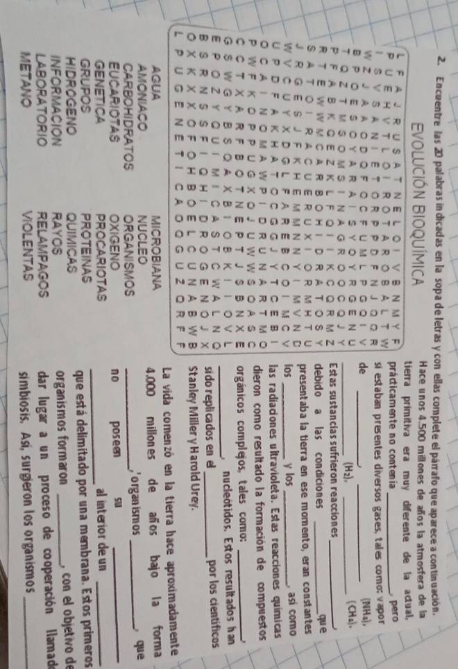 Encuentre las 20 palabras in dicadas en la sopa de letras y con ellas complete el párrafo que aparece a continuación.
EVOLUCIÓN BIOQUÍMICA Hace unos 4.500 millones de años la atmosfera de la
tierra primitiva era muy diferente de la actual,
L Fajrusatneloi vbnmyF
p UeHvtloi rotarobalt w prácticamente no contenia_
pero
S V S A N TE Tor P P D F N JQQ R si estaban presentes diversos gases, tales como; vapor
W Z J A A O D Q F ◎ C F U M L P G Q I V de _(NHa),
B POESOYARAISYOY R GENU
_
T QZ TMSOMSINAGR。。CQJY_
(H_2), _(CHa).
P Fa B K Qe Zk lFQii k CQr m z Estas sustancias sufrieron reacciones_
R TE WWM CaRBoHIDRAToSY debido a las condiciones _que
SatoiraCUeRUXiorMHt U
J R G  E S JF K H E M M N N Y L M V N D presentaba la tierra en ese momento, eran constantes
W V C U Y X D GL F A R E BC O I M C los _y los _, así como
U P D F A K H A T O C G G JYT C E B I
O CA I N OMA W P I D RU NA R T M 。 las radiaciones ultravioleta. Estas reacciones químicas
P W F K O P P U G X O J U W W S O A S C dieron como resultado la formación de compuestos
C C T X A R F B O T N E P T J S B N X E orgánicos complejos, tales como:_
G S W G Y B S Q A X B I O B K I 1 O V  nucleótidos. Estos resultados han
E P O Z Y Q U I M I CA S T C W A L N a
_
B SR N S S F I Q H I DR O G E  N O J X si do replicados en el_
por los científicos
O X K X X O F O H B O E L C UN A B W B Stanley Miller y Harold Urey.
L PU G E NE T I C A OQ G U Z Q R F F
AGUA MICROBIANA La vida comenzó en la tierra hace aproximadamente
AMONIACO NUCLEO 4.000 millon es de años bajo la forma
CARBOHIDRATOS ORGANISMOS _organ ismos _ que
EUCARIOTAS OXIGENO no poseen
_
GENETICA PROCARIOTAS _alinterior deun_
GRUPOS PROTEINAS
HIDROGENO QUIMICAS que está delimitado por una membrana. Estos primeros
INFORMACION RAYOS organismos formaron _, con el objetivo de
LABORATORIO RELAMPAGOS
dar lugar a un proceso de cooperación llamad
METANO VIOLENTAS
simbiosis. Asi, surgieron los organismos_