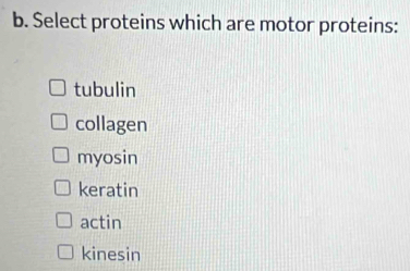 Select proteins which are motor proteins:
tubulin
collagen
myosin
keratin
actin
kinesin