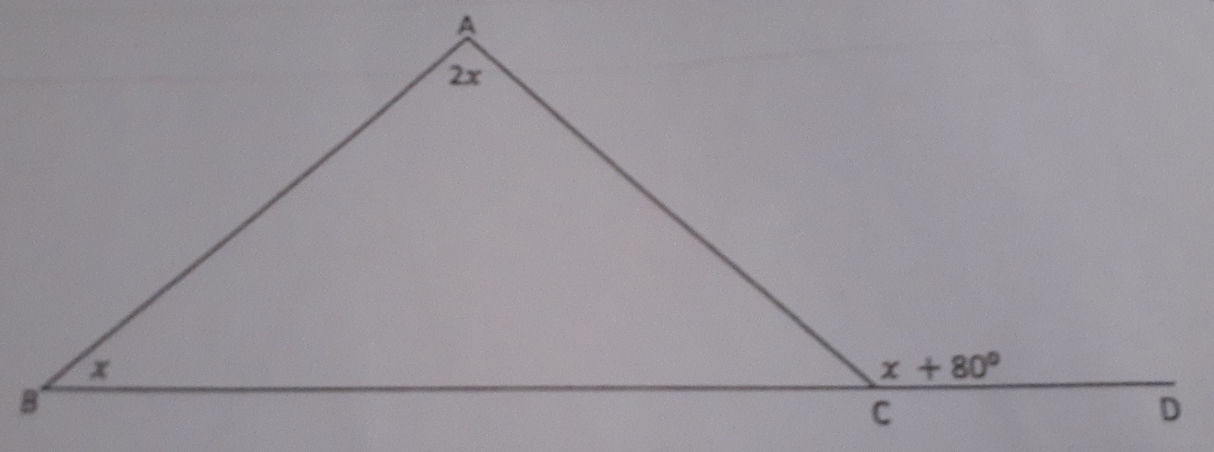 A
2x
x
x+80°
8^
C
D