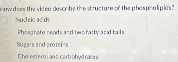 How does the video describe the structure of the phospholipids?
Nucleic acids
Phosphate heads and two fatty acid tails
Sugars and proteins
Cholesterol and carbohydrates