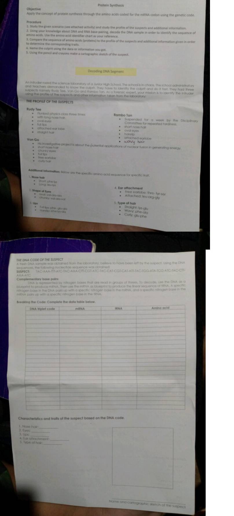 Protein Synthesis 
Apply the concept of protein synthesis through the amino acids coded for the mRNA codon using the genetic code 
Procedure 
1. Study the given scenario (see attached activity) and study the profile of the suspects and additional information. 
2. Using your knowledge about DNA and RNA base-pairing, decode the DNA sample in order to identify the sequence of 
amino acids. Use the amino acid identifier chart as your reference. 
3. Compare the sequence of amino acids (proteins) to the profile of the suspects and additional information given in order 
to determine the corresponding traits. 
4. Name the culprit using the data or information you got. 
5. Using the pencil and crayons make a cartographic sketch of the suspect. 
Decoding DNA Segmens 
THE PROFILE OF THE SUSPECTS 
Rudy Tee 
Rambo Tan 
* Schenated dPe Seatedto tor the Phciplinary 
oval eyts 
• short nose hall 
* affached ear labe * aval eyes 
* straight hair 
His investigative project is about the potential applications of nuclear fusion in generating energy 
* chunky eyes 
: 
Additional Information: ielow are the specific amino acid sequence for specific trait 
. Nose holr 
4. Ear attachment 
ne o us he, the br 
3. Ups 5. Type of hair 
* Straight: lys-glu * Wavy: phe-alo 
• Curly: glu-phe 
THE DNA CODE OF THE SUSPECT 
A fresh DNA sample was obtained from the laboratory; believe to have been left by the suspect. Using the DNA 
sequences, the following.nucleotide sequence was obtained: 
SUSPECT: TAC-AAA-ITT-ATC-TAC-AAA-CTT-CGT-ATC-TAC-CAT-CGT-CAT-ATT-TAC-IGG-ATA-ICG-ATC-TAC-CTT- 
AAA-ATC 
Complementary base pairs: 
nitrogen base in the DNA pairs up with a specific nitrogen base in the mENA, and a specific nitrogen base in the 
mRNA pairs up with a specific nitrogen base in the TRNA. 
Characteristics and traits of the suspect based on the DNA code. 
1. Nose hair 
2. Eyes 
3. tips 
m_ 
_ 
Name and cartographic sketch of the suspect