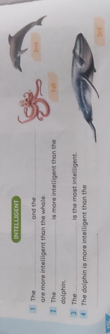 INTELLIGENT 
1 The _and the _2nd 
are more intelligent than the whale. 
2 The_ is more intelligent than the 1st
dolphin. 
3 The_ is the most intelligent. 
4 The dolphin is more intelligent than the 
_
3rd