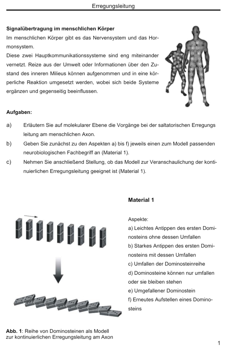 Erregungsleitung 
Signalübertragung im menschlichen Körper 
Im menschlichen Körper gibt es das Nervensystem und das Hor- 
monsystem. 
Diese zwei Hauptkommunikationssysteme sind eng miteinander 
vernetzt. Reize aus der Umwelt oder Informationen über den Zu- 
stand des inneren Milieus können aufgenommen und in eine kör- 
perliche Reaktion umgesetzt werden, wobei sich beide Systeme 
ergänzen und gegenseitig beeinflussen. 
Aufgaben: 
a) Erläutern Sie auf molekularer Ebene die Vorgänge bei der saltatorischen Erregungs 
leitung am menschlichen Axon. 
b) Geben Sie zunächst zu den Aspekten a) bis f) jeweils einen zum Modell passenden 
neurobiologischen Fachbegriff an (Material 1). 
c) Nehmen Sie anschließend Stellung, ob das Modell zur Veranschaulichung der konti- 
nuierlichen Erregungsleitung geeignet ist (Material 1). 
Material 1 
Aspekte: 
a) Leichtes Antippen des ersten Domi- 
nosteins ohne dessen Umfallen 
b) Starkes Antippen des ersten Domi- 
nosteins mit dessen Umfallen 
c) Umfallen der Dominosteinreihe 
d) Dominosteine können nur umfallen 
oder sie bleiben stehen 
e) Umgefallener Dominostein 
f) Erneutes Aufstellen eines Domino- 
steins 
Abb. 1: Reihe von Dominosteinen als Modell 
zur kontinuierlichen Erregungsleitung am Axon 
1