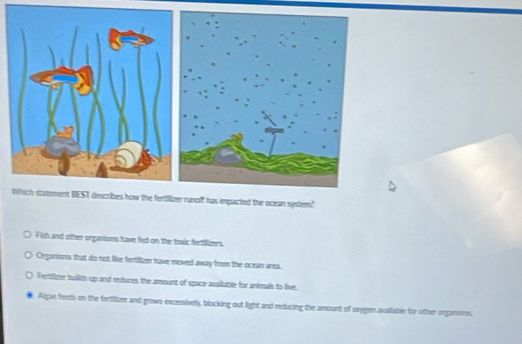 Which statement BEST describes how the fertilizer runoff has impacted the ocean system?
Fish and other organisms have fed on the toxic fertilizers.
Organisms that do not like fertiizer have moved away from the ocean area.
Fertilzer builds up and reduces the amount of space axallable for animals to live.
Algae feeds on the fertiizer and grows excessively, blocking out light and reducing the amount of oxygen available for other organisms