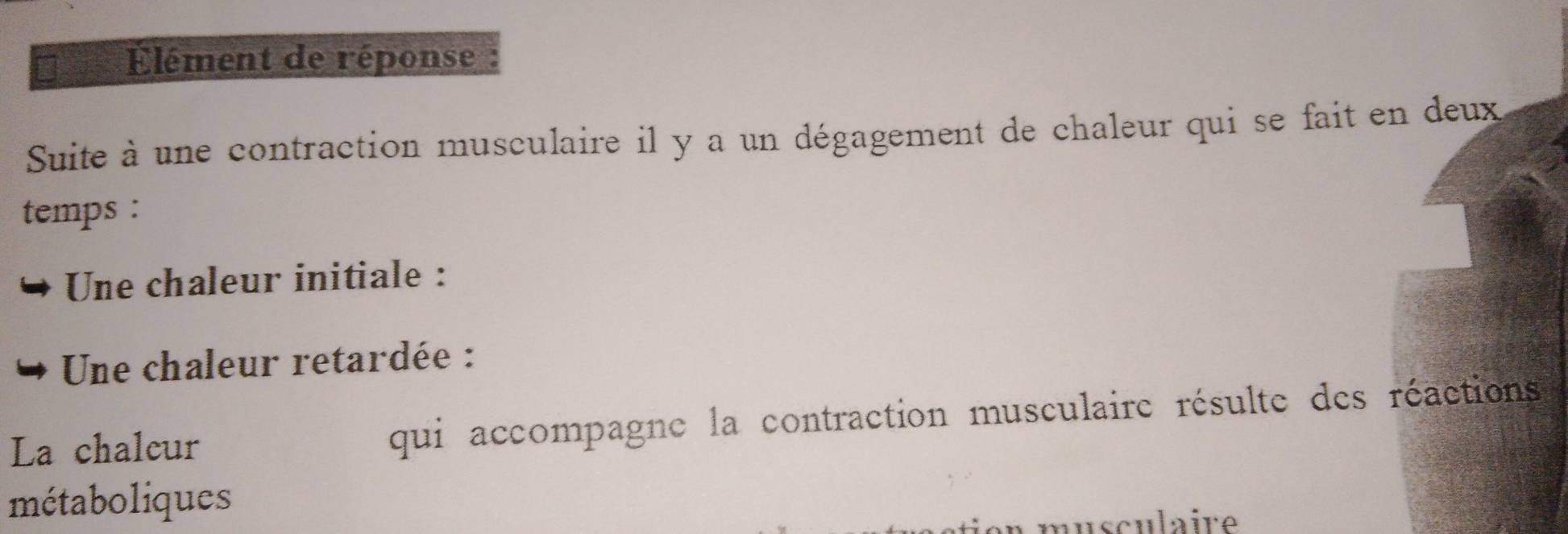 Élément de réponse 
Suite à une contraction musculaire il y a un dégagement de chaleur qui se fait en deux 
temps : 
Une chaleur initiale : 
Une chaleur retardée : 
La chalcur qui accompagne la contraction musculaire résulte des réactions 
métaboliques