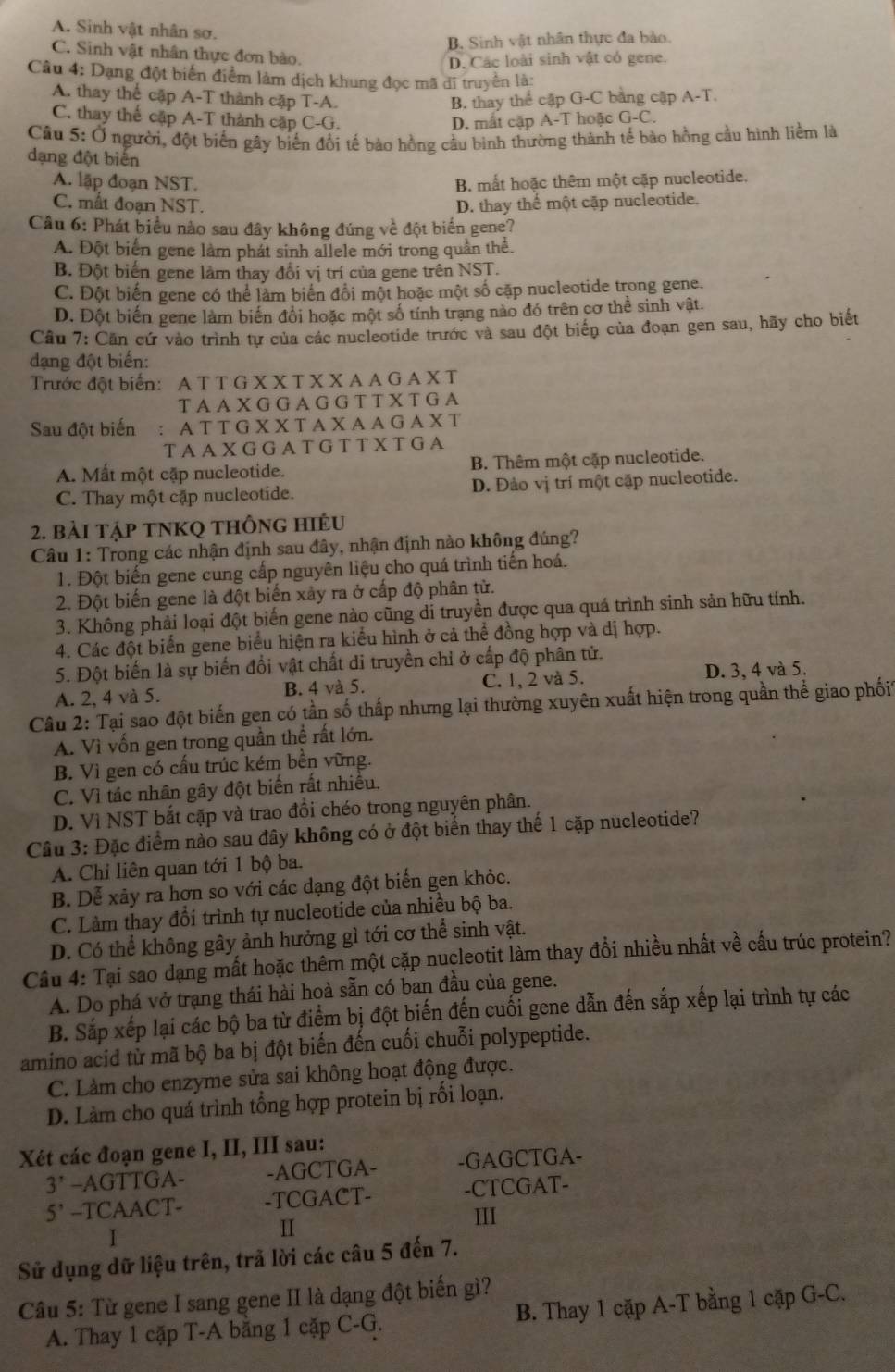 A. Sinh vật nhân sơ.
B. Sinh vật nhân thực đa bào.
C. Sinh vật nhân thực đơn bào.
D. Các loài sinh vật có gene.
Câu 4: Dạng đột biển điểm làm dịch khung đọc mã dĩ truyền là:
A. thay thể cập A-T thành cập T-A. B. thay thể cập G-C bằng cập A-T.
C. thay thể cập A-T thành cập C-G. D. mất cập A-T hoặc G-C.
Cầu 5: Ở người, đột biến gây biến đổi tế bào hồng cầu bình thường thành tế bào hồng cầu hình liềm là
dạng đột biến
A. lập đoạn NST. B. mất hoặc thêm một cập nucleotide,
C. mất đoạn NST. D. thay thể một cặp nucleotide.
Câu 6: Phát biểu nào sau đây không đúng về đột biển gene?
A. Đột biển gene làm phát sinh allele mới trong quần thể.
B. Đột biến gene làm thay đổi vị trí của gene trên NST.
C. Đột biến gene có thể làm biển đổi một hoặc một số cặp nucleotide trong gene.
D. Đột biến gene làm biến đổi hoặc một số tính trạng nào đó trên cơ thể sinh vật.
Câu 7: Căn cứ vào trình tự của các nucleotide trước và sau đột biển của đoạn gen sau, hãy cho biết
dạng đột biến:
Trước đột biển: A T T G X X T X X A A G A X T
T A A X G G A G G T T X T G A
Sau đột biến : A T T G X X T A X A A G A X T
T A A X G G A T G T T X T G A
A. Mất một cập nucleotide. B. Thêm một cập nucleotide.
C. Thay một cập nucleotide. D. Đảo vị trí một cập nucleotide.
2. bài tập tNKQ thông hiều
Câu 1: Trong các nhận định sau đây, nhận định nào không đúng?
1. Đột biến gene cung cấp nguyên liệu cho quá trình tiến hoá.
2. Đột biến gene là đột biến xảy ra ở cấp độ phân tử.
3. Không phải loại đột biến gene nào cũng di truyền được qua quá trình sinh sản hữu tính.
4. Các đột biển gene biểu hiện ra kiểu hình ở cả thể đồng hợp và dị hợp.
5. Đột biến là sự biến đổi vật chất di truyền chỉ ở cấp độ phân tử.
A. 2, 4 và 5. B. 4 và 5. C. 1, 2 và 5. D. 3, 4 và 5.
Câu 2: Tại sao đột biến gen có tần số thấp nhưng lại thường xuyên xuất hiện trong quần thể giao phối
A. Vì vốn gen trong quần thể rất lớn.
B. Vì gen có cấu trúc kém bền vững.
C. Vì tác nhân gây đột biến rất nhiều.
D. Vì NST bắt cặp và trao đồi chéo trong nguyên phân.
Câu 3: Đặc điểm nào sau đây không có ở đột biển thay thế 1 cặp nucleotide?
A. Chi liên quan tới 1 bộ ba.
B. Dễ xảy ra hơn so với các dạng đột biến gen khỏc.
C. Làm thay đổi trình tự nucleotide của nhiều bộ ba.
D. Có thể không gây ảnh hưởng gì tới cơ thể sinh vật.
Câu 4: Tại sao dạng mất hoặc thêm một cặp nucleotit làm thay đổi nhiều nhất về cấu trúc protein?
A. Do phá vở trạng thái hài hoà sẵn có ban đầu của gene.
B. Sắp xếp lại các bộ ba từ điểm bị đột biến đến cuối gene dẫn đến sắp xếp lại trình tự các
amino acid từ mã bộ ba bị đột biến đến cuối chuỗi polypeptide.
C. Làm cho enzyme sửa sai không hoạt động được.
D. Làm cho quá trình tổng hợp protein bị rối loạn.
Xét các đoạn gene I, II, III sau:
3' -AGTTGA- -AGCTGA- -GAGCTGA-
5' --TCAACT- -TCGACT- -CTCGAT-
III
I
II
Sử dụng dữ liệu trên, trả lời các câu 5 đến 7.
Câu 5: Từ gene I sang gene II là dạng đột biến gì?
A. Thay 1 cặp T-A bằng 1 cặp C-G. B. Thay 1 cặp A-T bằng 1 cặp G-C.