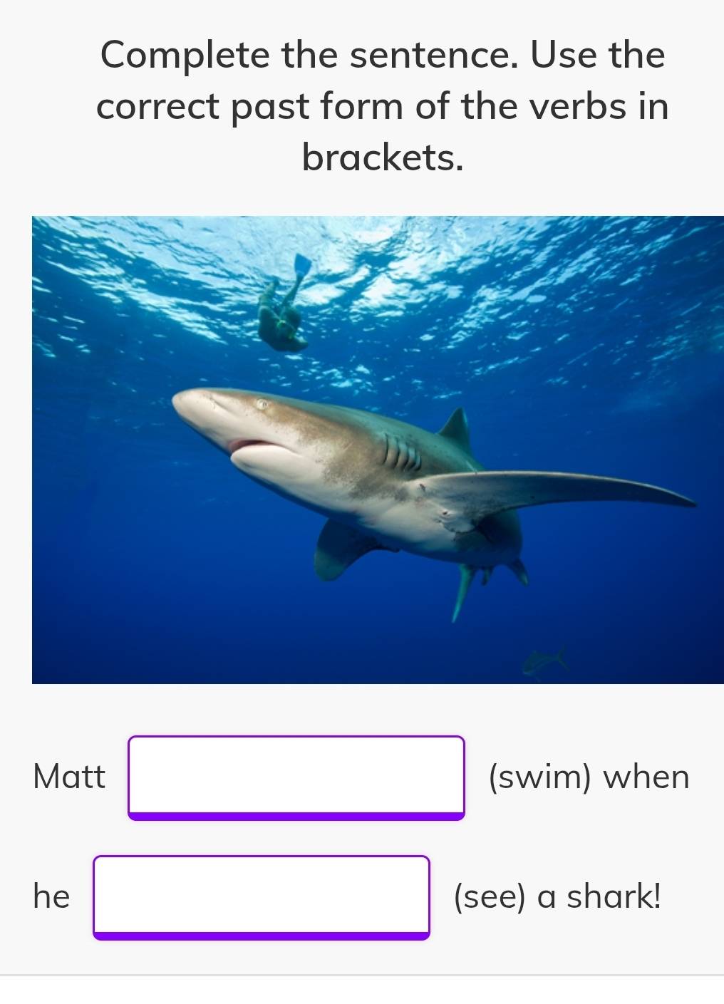 Complete the sentence. Use the 
correct past form of the verbs in 
brackets. 
Matt □ (swim) when 
he □ (see) a shark!