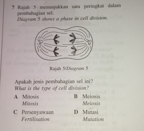 Rajah 5 menunjukkan satu peringkat dalam
pembahagian sel.
Diagram 5 shows a phase in cell division.
Rajah 5/Diagram 5
Apakah jenis pembahagian sel ini?
What is the type of cell division?
A Mitosis B Meiosis
Mitosis Meiosis
C Persenyawaan D Mutasi
Fertilisation Mutation