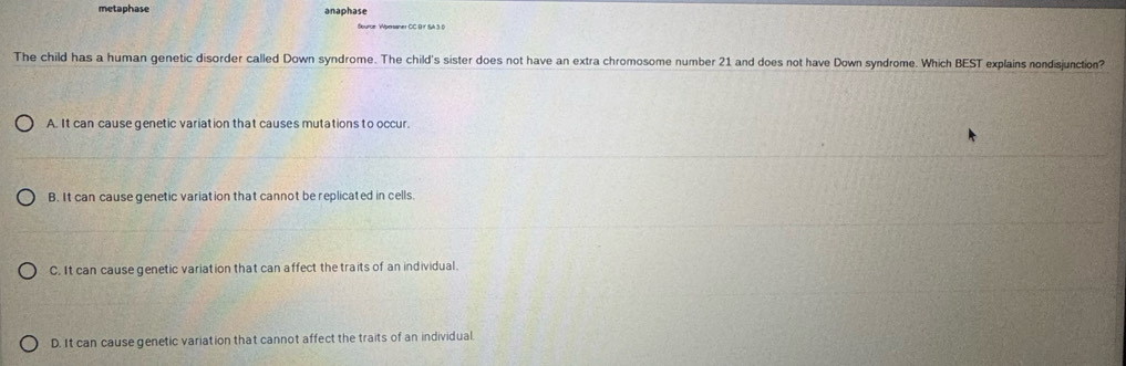 metaphase anaphase
Sburce Wpersaner CC B f SA 3 0
The child has a human genetic disorder called Down syndrome. The child's sister does not have an extra chromosome number 21 and does not have Down syndrome. Which BEST explains nondisjunction?
A. It can cause genetic variation that causes mutations to occur.
B. It can cause genetic variation that cannot be replicated in cells.
C. It can cause genetic variation that can affect the traits of an individual.
D. It can cause genetic variation that cannot affect the traits of an individual.