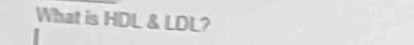 What is HDL & LDL?