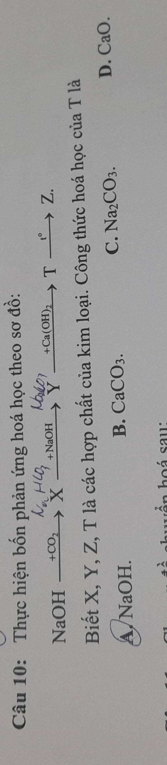 Thực hiện bốn phản ứng hoá học theo sơ đồ:
NaOH _  +CO_2 x xrightarrow ?+NaOHYxrightarrow +Ca(OH)_2Txrightarrow t°Z. 
Biết X, Y, Z, T là các hợp chất của kim loại. Công thức hoá học của T là
A.NaOH.
B. CaCO_3. C. Na_2CO_3. D. CaO. 
ển hoá sau: