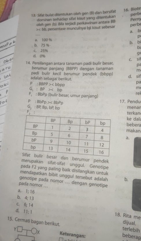 Sifat bulat ditentukan oleh gen (B) dan bersifat 16. Biote
perb
dominan terhadap sifat kisut yang ditentukan
oleh gen (b). Bila terjadi perkawinan antara BB Perny
, persentase munculnya bji kisut sebesar perbe
_
a. bi
p
a. 100 %
b. bi
b. 75 %
b
c. 25%
g
d. 0%
c. sit
14. Persilangan antara tanaman padi bulir besar, pa
berumur panjang (BBPP) dengan tanaman m
padi bulir kecil berumur pendek (bbpp) d. sif
adalah sebagai berikut.
P:BBPP>
pa
G_1:BP>
m
F_1:BbPp (bulir besar, umur panjang) rel
P:BbPp>
17. Pendu
G_2 : BP, Bp, bP, bp
menan
F_2 : terkan
ke dal
bebera
makan.
a,
n berumur pendek
merupakan sifat-sifat unggul. Genotipe
pada F2 yang paling baik disilangkan untuk
mendapatkan bibit unggul tersebut adalah b.
genotipe pada nomor ... dengan genotipe
pada nomor ...
a. 1; 16
b. 4; 13
C、 6; 14
d. 11; 1
18. Rita me
15. Cermati bagan berikut.
dijual.
Y terlebih
X Keterangan:
beberap