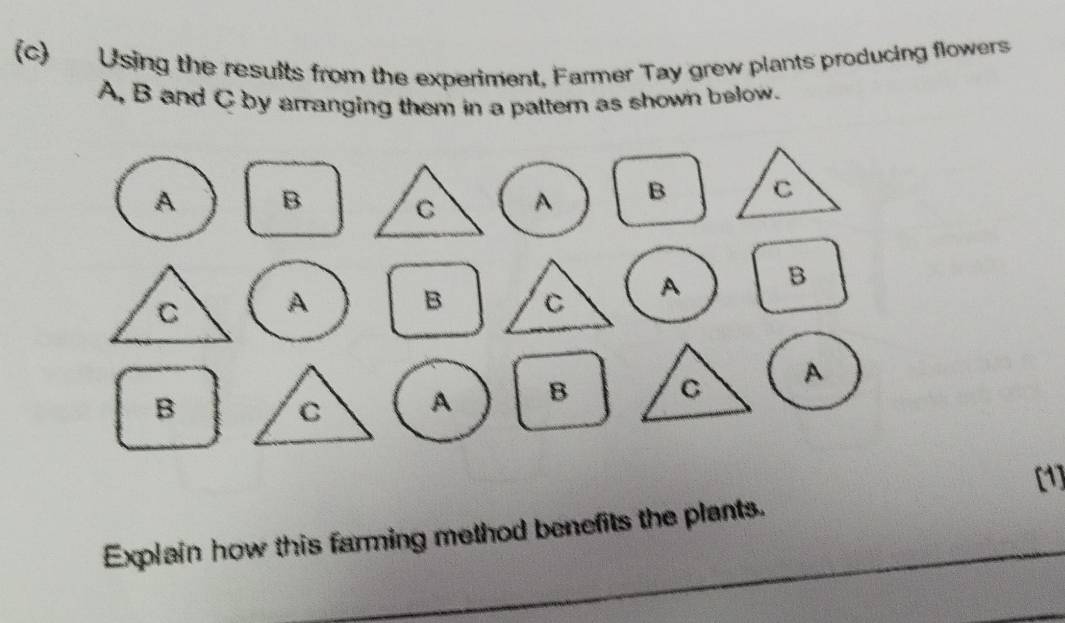 Using the results from the experiment, Farmer Tay grew plants producing flowers
A, B and C by arranging them in a pattern as shown below. 

B
B
B A 
[1] 
Explain how this farming method benefits the plants.