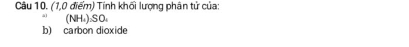 (1,0 điểm) Tính khối lượng phân tử của: 
(NH₄) ₂SO₄
b) carbon dioxide