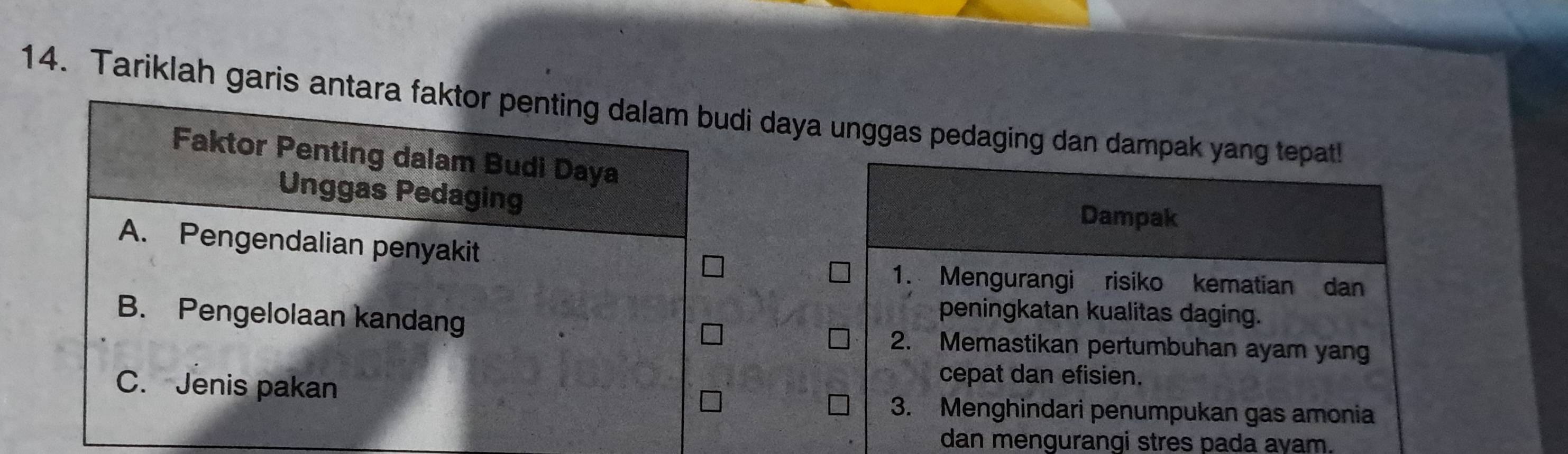 Tariklah garis di daya unggas pedaging dan dampak yang tepat!
Dampak
1. Mengurangi risiko kematian dan
peningkatan kualitas daging.
2. Memastikan pertumbuhan ayam yang
cepat dan efisien.
3. Menghindari penumpukan gas amonia
dan mengurangi stres pada ayam.