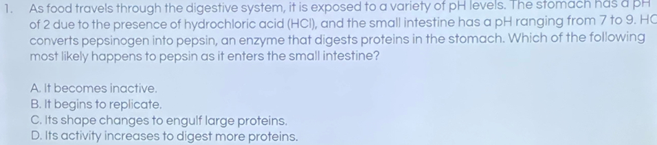 As food travels through the digestive system, it is exposed to a variety of pH levels. The stomach has a pH
of 2 due to the presence of hydrochloric acid (HCl), and the small intestine has a pH ranging from 7 to 9. HC
converts pepsinogen into pepsin, an enzyme that digests proteins in the stomach. Which of the following
most likely happens to pepsin as it enters the small intestine?
A. It becomes inactive.
B. It begins to replicate.
C. Its shape changes to engulf large proteins.
D. Its activity increases to digest more proteins.