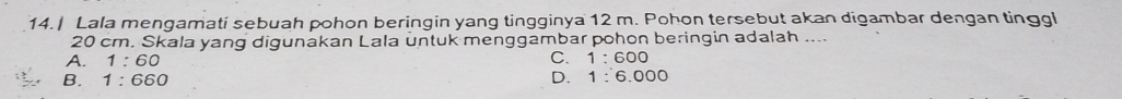 14.| Lala mengamati sebuah pohon beringin yang tingginya 12 m. Pohon tersebut akan digambar dengan tinggl
20 cm. Skala yang digunakan Lala untuk menggambar pohon beringin adalah ....
C.
A. 1:60 1:600
B. 1:660 D. 1:6.000