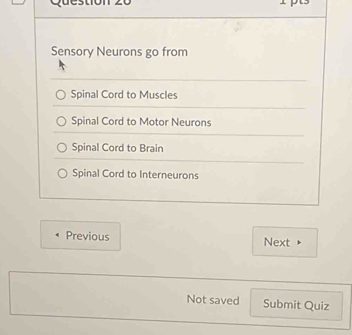 destión 20
Sensory Neurons go from
Spinal Cord to Muscles
Spinal Cord to Motor Neurons
Spinal Cord to Brain
Spinal Cord to Interneurons
Previous Next
Not saved Submit Quiz