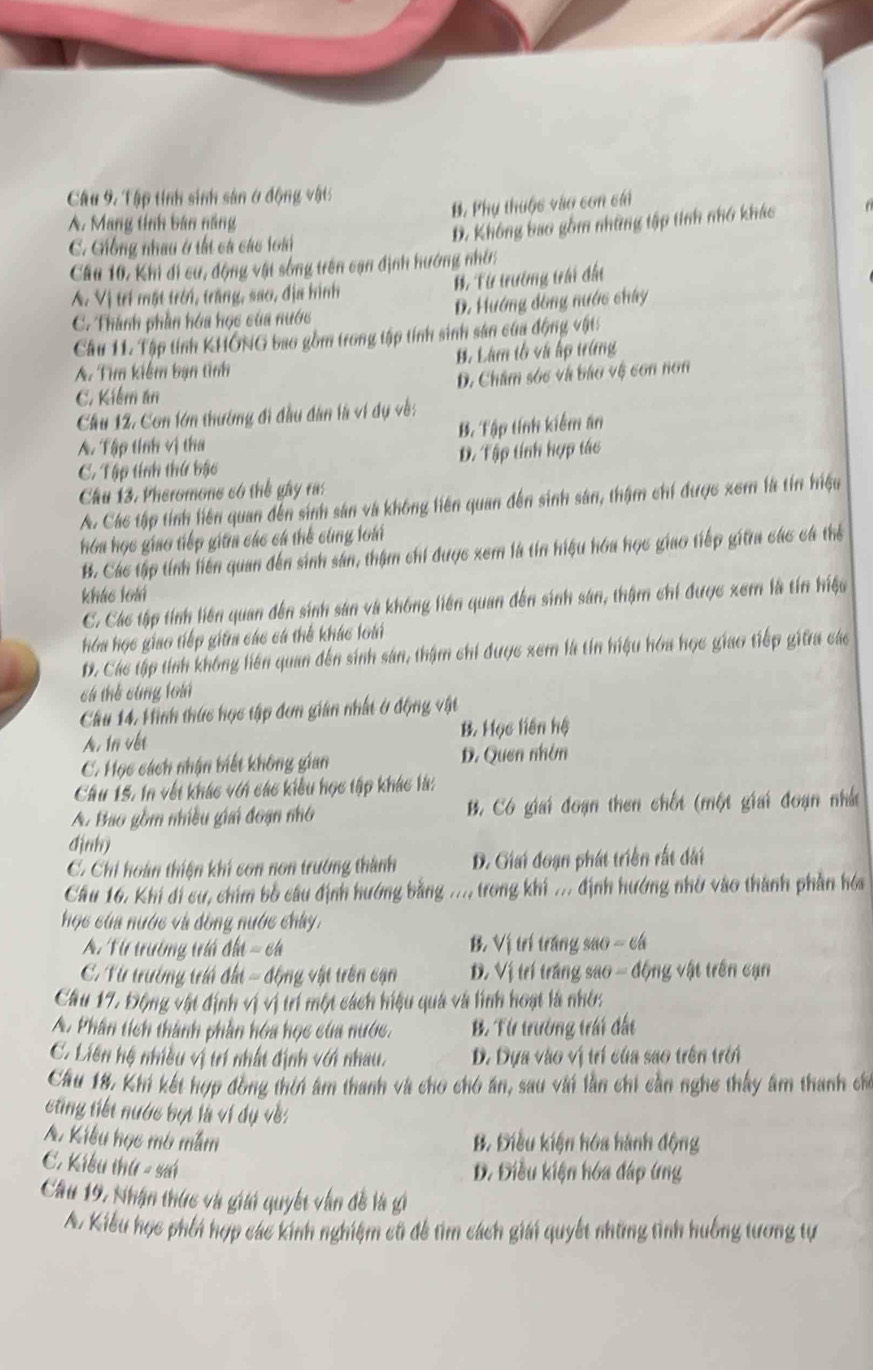 Tập tính sinh sản ở động vật:
B. Phụ thuộc vào con cái
A. Mang tính bán năng
D. Không bao gồm những tập tinh nhớ khác
C. Giống nhau ở tất cá các loài
Câu 10, Khi di cư, động vật sống trên cạn định hướng nhớ:
B. Từ trường trái đất
A. Vị trí mặt trời, trăng, sao, địa hình
C. Thành phần hóa học của nước D. Hướng đồng nước chây
Cầu 11. Tập tính KHÔNG bao gồm trong tập tính sinh sản của động vật
A. Tìm kiểm bạn tình B. Làm tổ và ấp trừng
C. Kiểm an D. Châm sóc và báo vệ con non
Cầu 12. Con lớn thường đi đầu dân là ví dụ về:
A. Tập tính vị tha B. Tập tính kiểm ăn
C. Tập tính thứ bậc D. Tập tính hợp tác
Câu 13. Pheromone có thể gây ra:
A. Các tập tính liên quan đến sinh sản và không liên quan đến sinh sản, thậm chí được xem là tin hiệu
hóa học giao tiếp giữa các cá thể cùng loài
B. Các tập tính liên quan đến sinh sản, thậm chi được xem là tín hiệu hóa học giao tiếp gitra các cá thể
kháo loài
C. Các tập tính liên quan đến sinh sản và không liên quan đến sinh sản, thậm chi được xem là tín hiệu
hóa học giao tiếp giữma các cá thể khác loài
D. Các tập tính không liên quan đến sinh sản, thậm chi được xem là tín hiệu hóa học giao tiếp giữra các
cá thể cùng loài
Câu 14, Hình thức học tập đơn gián nhất ở động vật
A. In vết B. Học liên hệ
C. Học cách nhận biết không gian D. Quen nhón
Câu 15, in vết khác với các kiểu học tập khác là:
A. Bao gồm nhiều giai đoạn nhớ B. Có giai đoạn then chốt (một giai đoạn nhà
((nh)
C. Chỉ hoàn thiện khi con non trường thành D. Giai đoạn phát triển rất dài
Cầu 16. Khi di cư, chim bố câu định hướng bằng .... trong khi ... định hướng nhớ vào thành phần hóa
học của nước và đồng nước chây.
A. Từ trường tríá địa = cá B. Vị trí trăng sao - cá
C. Từ trường trín đất = động vật trên cạn D. Vị trí tráng sao - động vật trên cạn
Câu 17. Động vật định vị vị trí một cách hiệu quả và linh hoạt là nhớ:
A. Phân tích thành phần hóa học của nước. B. Từ trường trấi đất
C. Liên hệ nhiều vị trí nhất định với nhau.  D. Dựa vào vị trí của sao trên trời
Câu 18, Khi kết hợp đồng thời âm thanh và cho chó án, sau với lần chi cần nghe thấy âm thanh cho
cting tiết nước bợt là ví dụ về
A. Kiêu học mô mắm B. Điều kiện hóa hành động
C. Kiểu thứ - sai
B. Điều kiện hóa đáp ứng
Cầu 19, Nhận thực và giải quyết vận đề là gi
A. Kiểu học phối hợp các kinh nghiệm cũ đề tìm cách giải quyết những tình huống tương tự