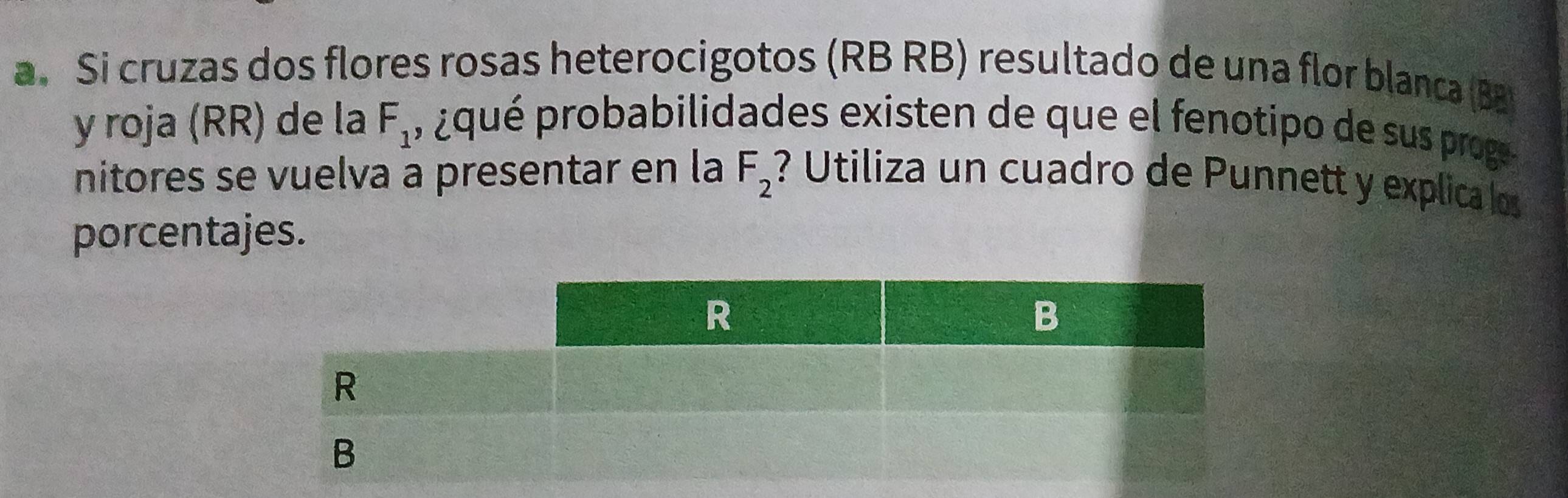 Si cruzas dos flores rosas heterocigotos (RB RB) resultado de una flor blanca (Ba 
y roja (RR) de la F_1 , ¿ qué probabilidades existen de que el fenotipo de sus proge 
nitores se vuelva a presentar en la F_2 ? Utiliza un cuadro de Punnett y explica los 
porcentajes.