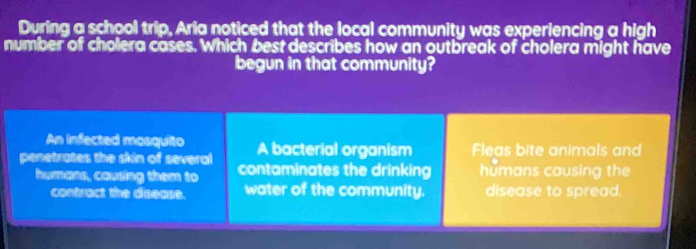 During a school trip, Aria noticed that the local community was experiencing a high
number of cholera cases. Which best describes how an outbreak of cholera might have
begun in that community?
An infected mosquito A bacterial organism Fleas bite animals and
penetrates the skin of several contaminates the drinking humans causing the
humans, causing them to
contract the disease. water of the community. disease to spread.