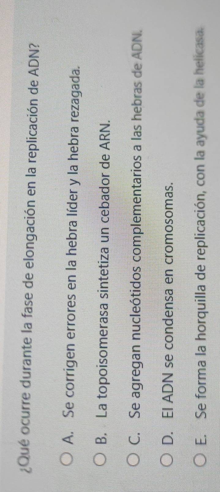 ¿Qué ocurre durante la fase de elongación en la replicación de ADN?
A. Se corrigen errores en la hebra líder y la hebra rezagada.
B. La topoisomerasa sintetiza un cebador de ARN.
C. Se agregan nucleótidos complementarios a las hebras de ADN.
D. El ADN se condensa en cromosomas.
E. Se forma la horquilla de replicación, con la ayuda de la helicasa.